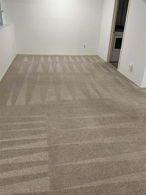 After carpet cleaning image