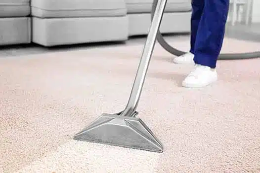 all natural steam carpet cleaning services